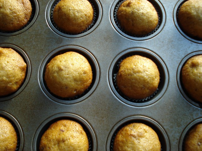 Date Muffins - fresh from the oven